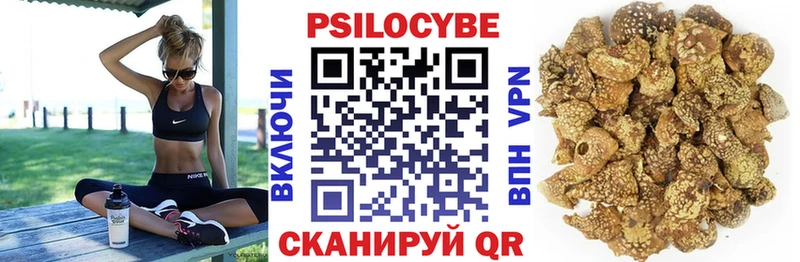 Псилоцибиновые грибы MAGIC MUSHROOMS  Каргат 